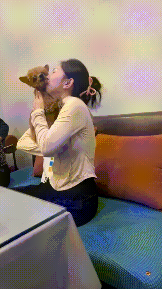 全家人只有她一个高兴，觉得可爱！
爸爸妈妈全程黑脸，就连小狗狗都没有表情了。