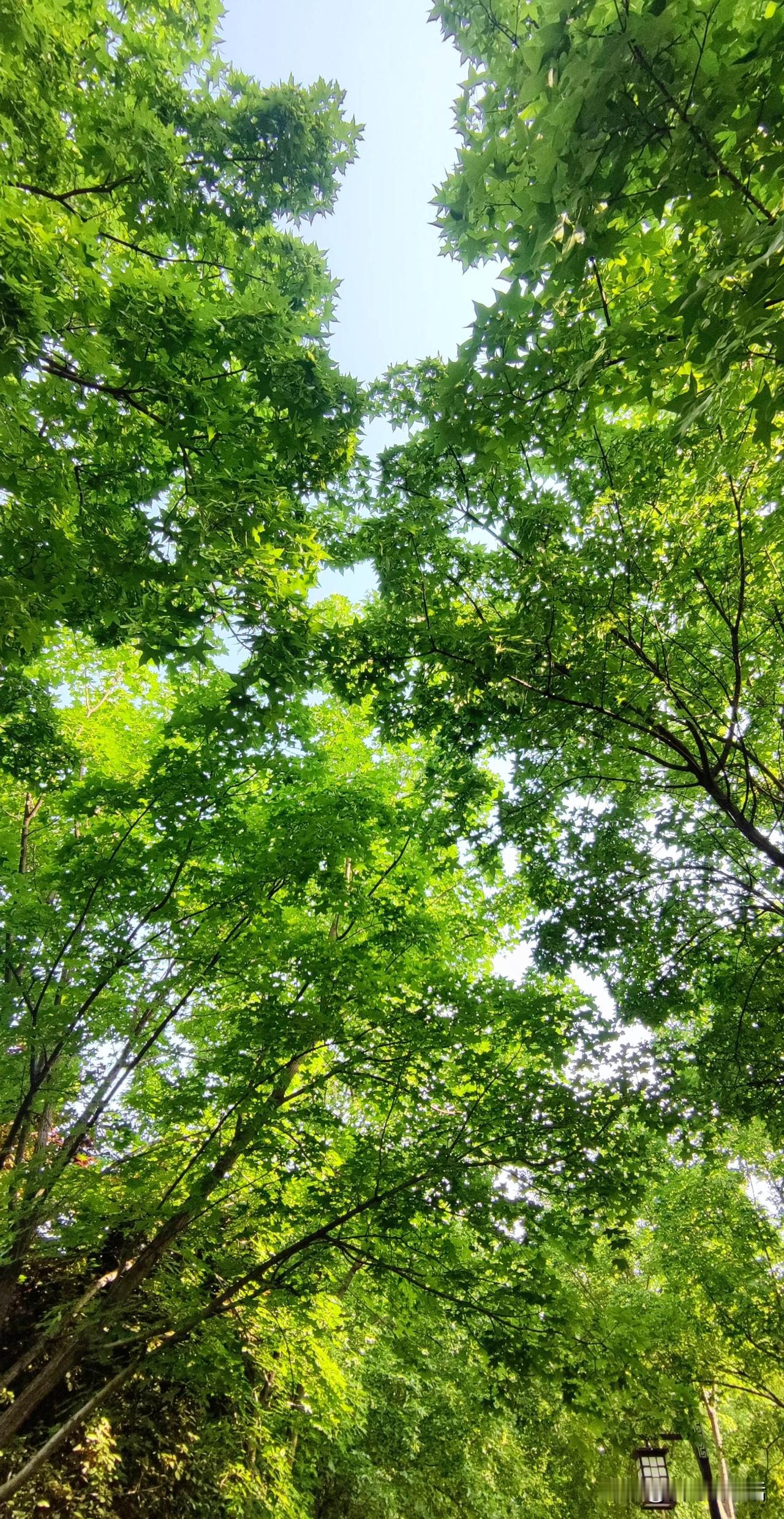 家人们，今天想跟大家聊聊一个家庭到死都不能犯的五大忌。我现在坐在家里温馨的客厅，