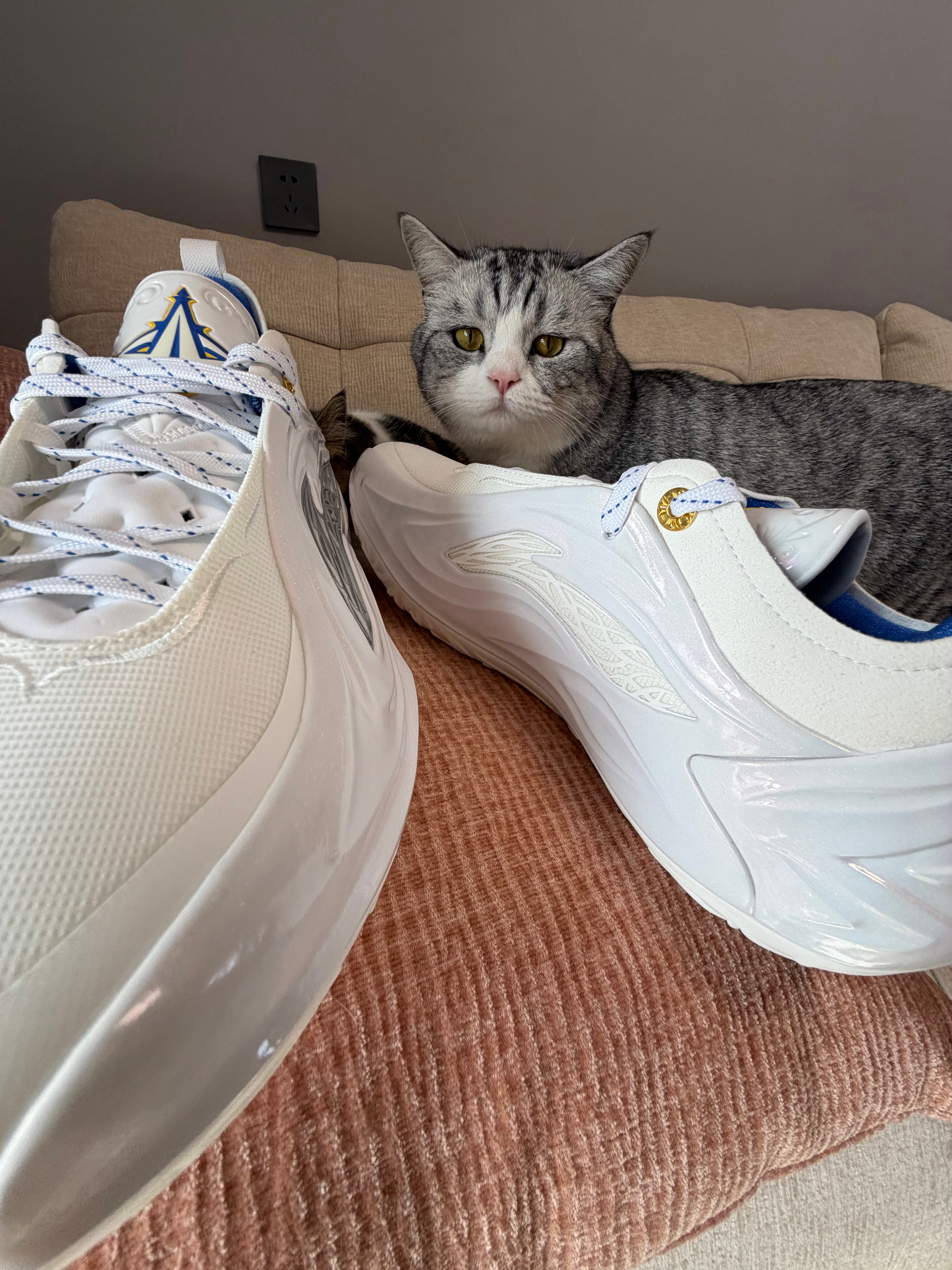 想念吉米的Day 29/jimmybutler