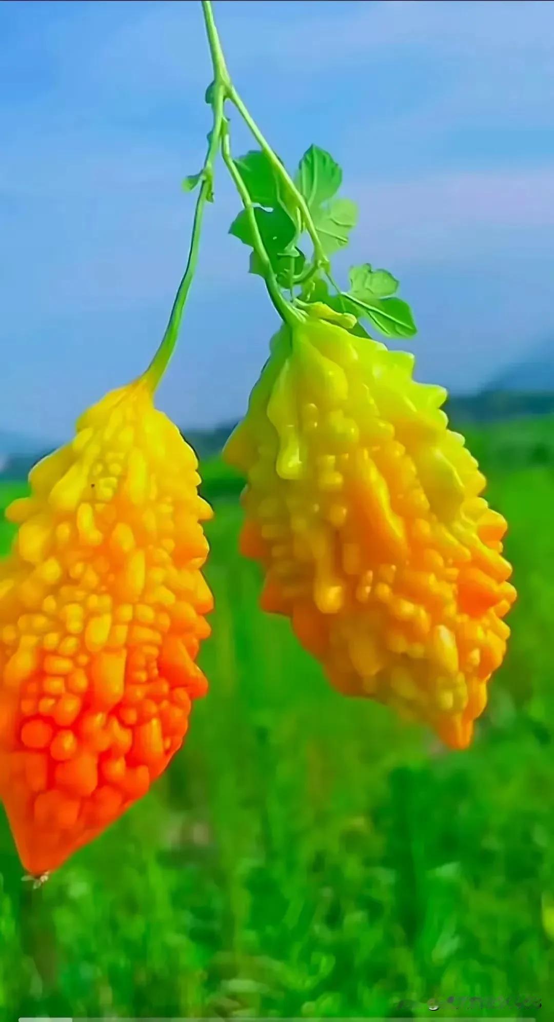 无意中把人得罪了
自己还不知道
下午下班时，厂门口有菜卖
几个同事围着买菜
我买