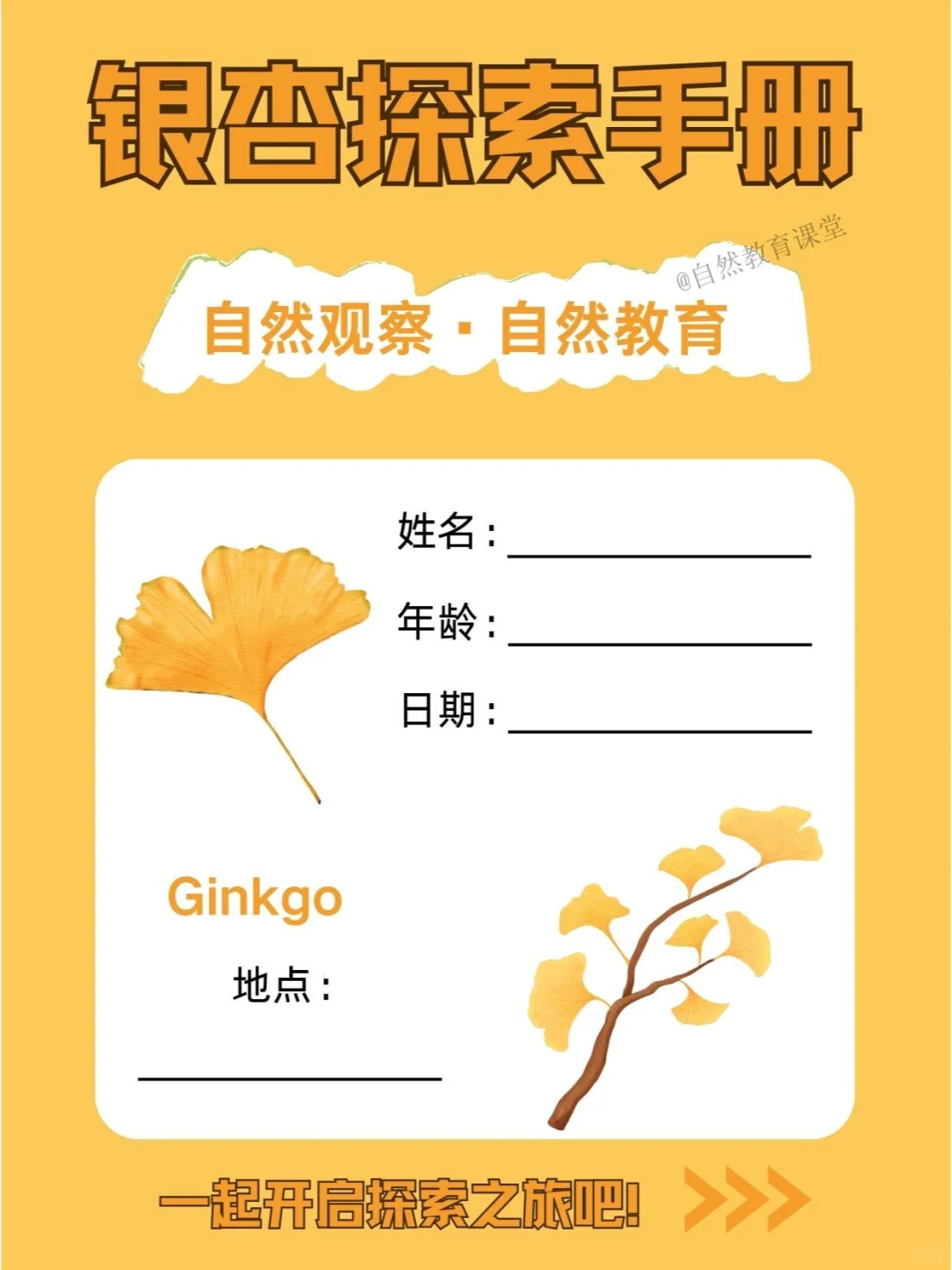 自然教育手册 | 璀璨银杏，装点金秋大地！