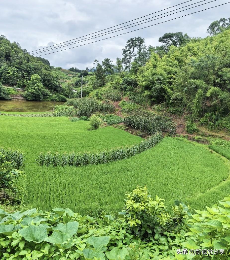 我舅公七十四那年住了回院，出院以后整个人变了。

以前他跟我舅婆三天一小吵五天一