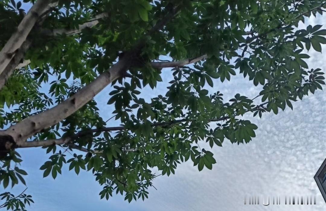 ❤️拆穿多没意思，年龄大了，就喜欢看别人演戏，精彩的地方我给你鼓掌，实在不行我还