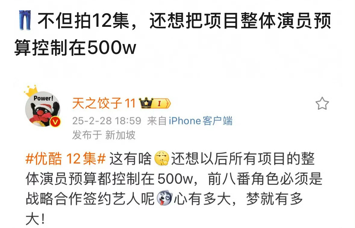 优酷不但拍12集，还想降薪，把项目整体演员预算控制在500w 