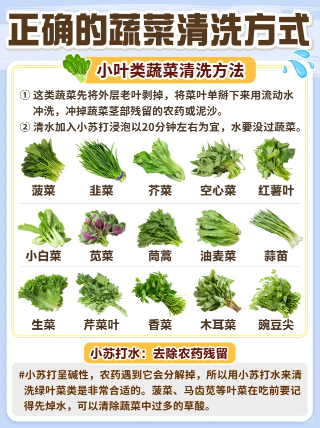 生活篇|蔬菜清洗正确方法🥬干货经验总结