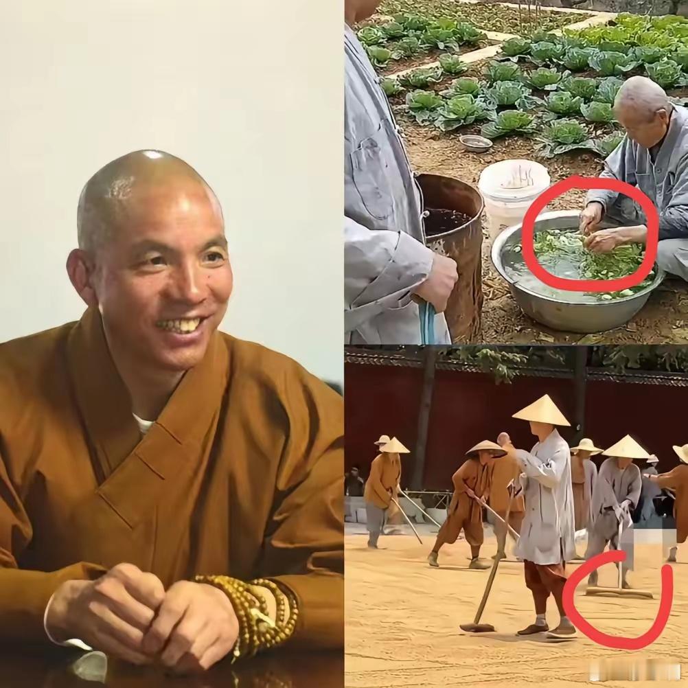 少林寺离职潮新住持“新官上任三把火”，假和尚纷纷现出原形，只能说以前生活太安逸了