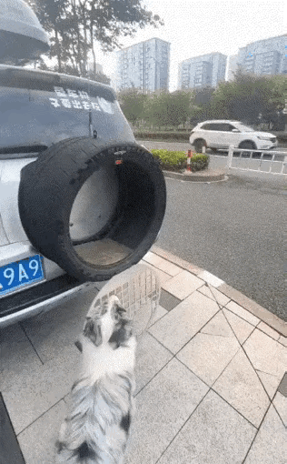 华东车讯[超话]  倒车雷达可以省了[呲牙] ​​​