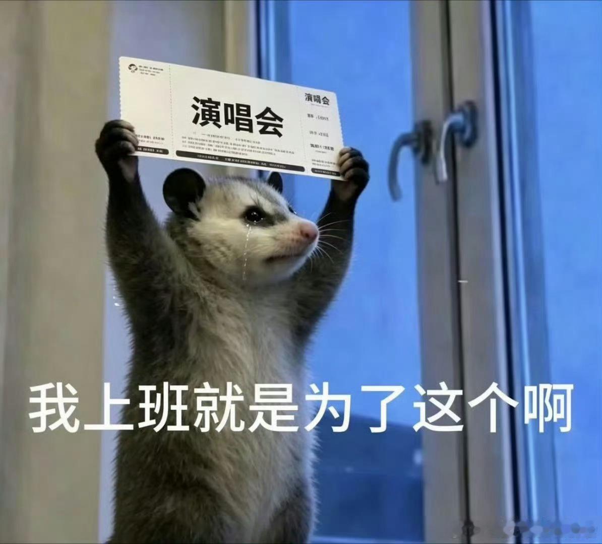郭富城经纪人确认郑州演唱会郭富城经纪人发布郑州演唱会动态终于等来实锤消息！经纪人