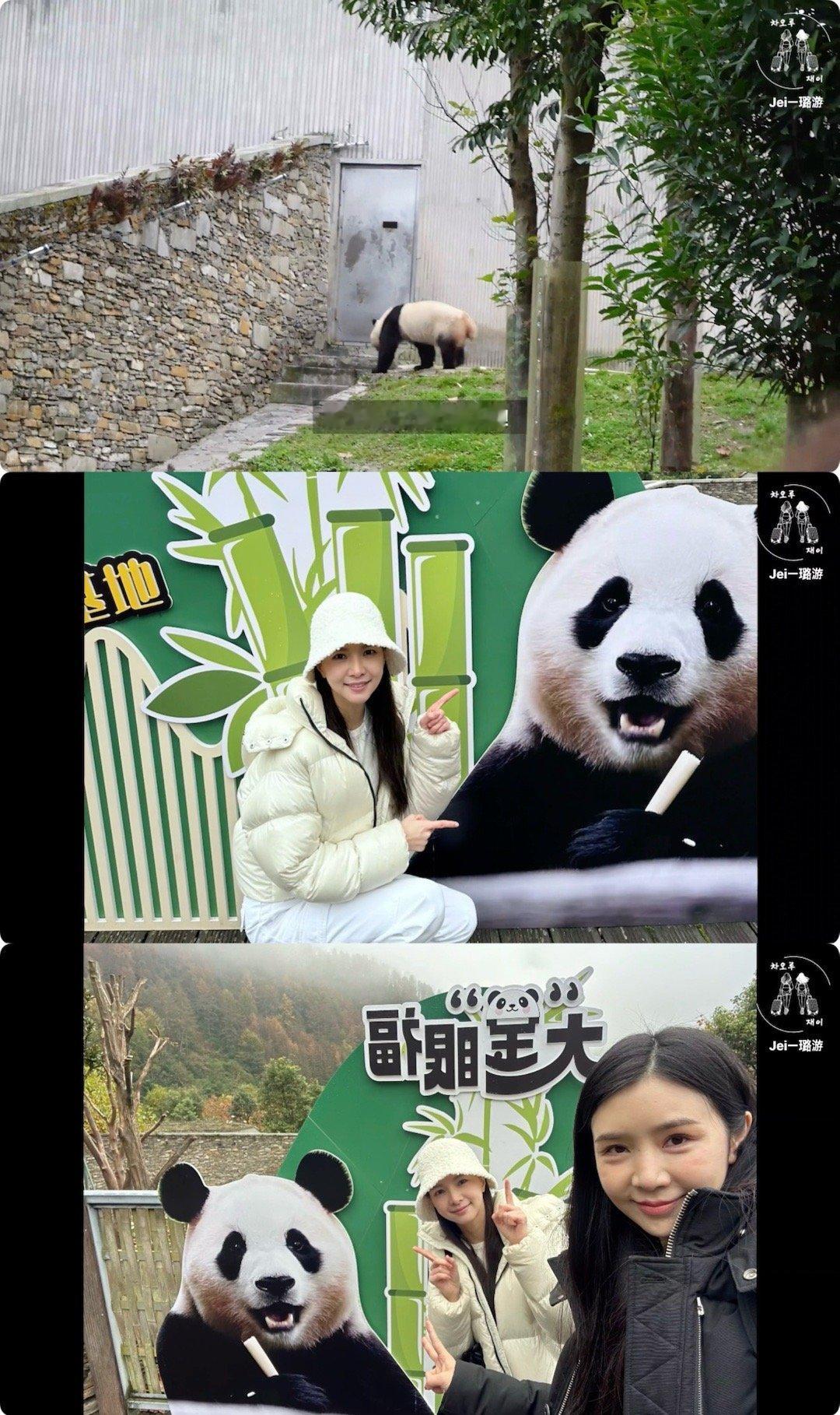 曹璐带韩国爱豆看福宝vlog  现在知道我们国家的免签政策有多牛了，打开国门让外