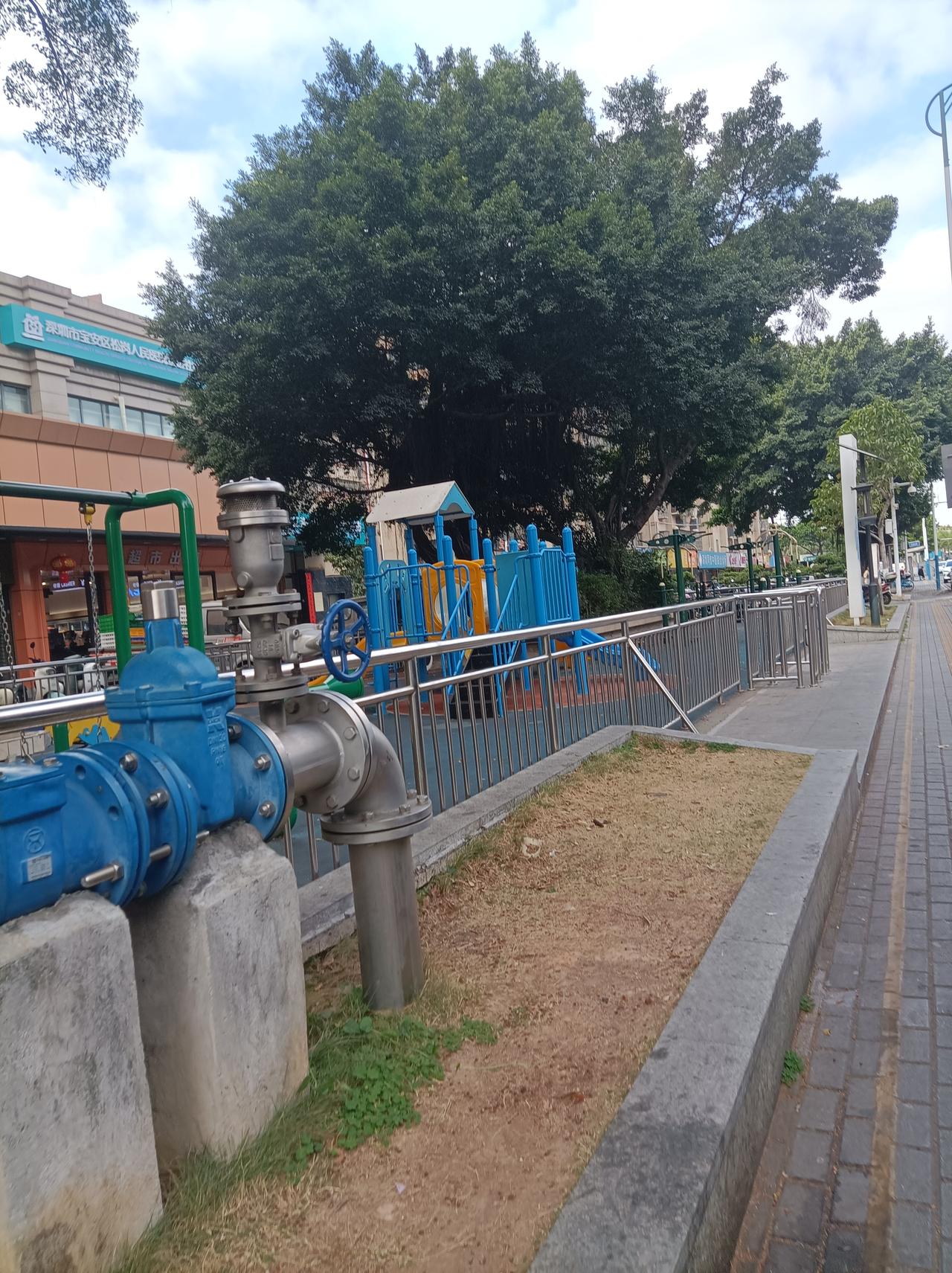 几天没出去运动了，一来这几天老头感冒了，陪他在家里静养几天，二来这几天深圳天气也