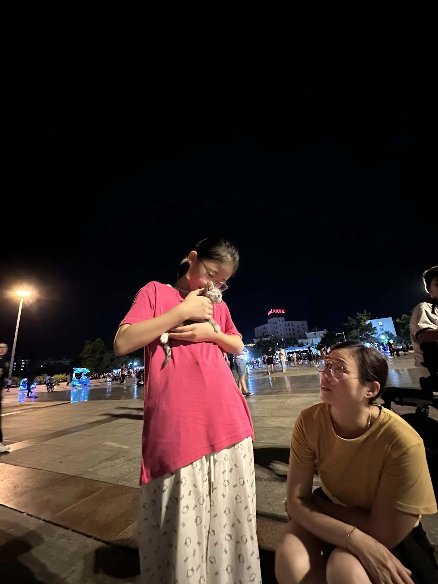 感谢善良的人，给小猫一个温暖的家