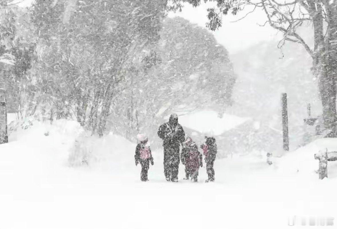 日本强降雪已致45人死亡日本这波强降雪可太惨了。据报道，过去两周，日本北部积雪成
