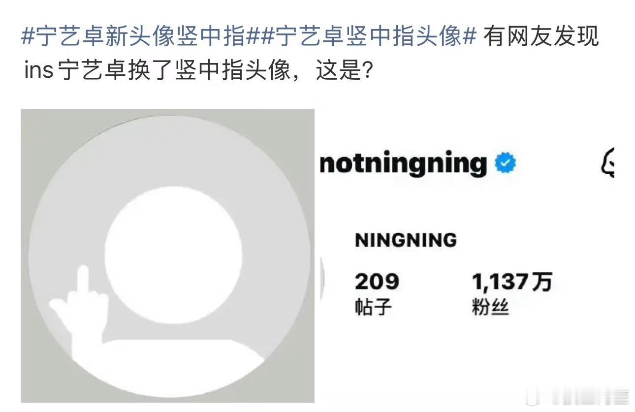 宁宁真的是非常容易被舆论影响的艺人……宁艺卓ins换竖中指头像 ​​​