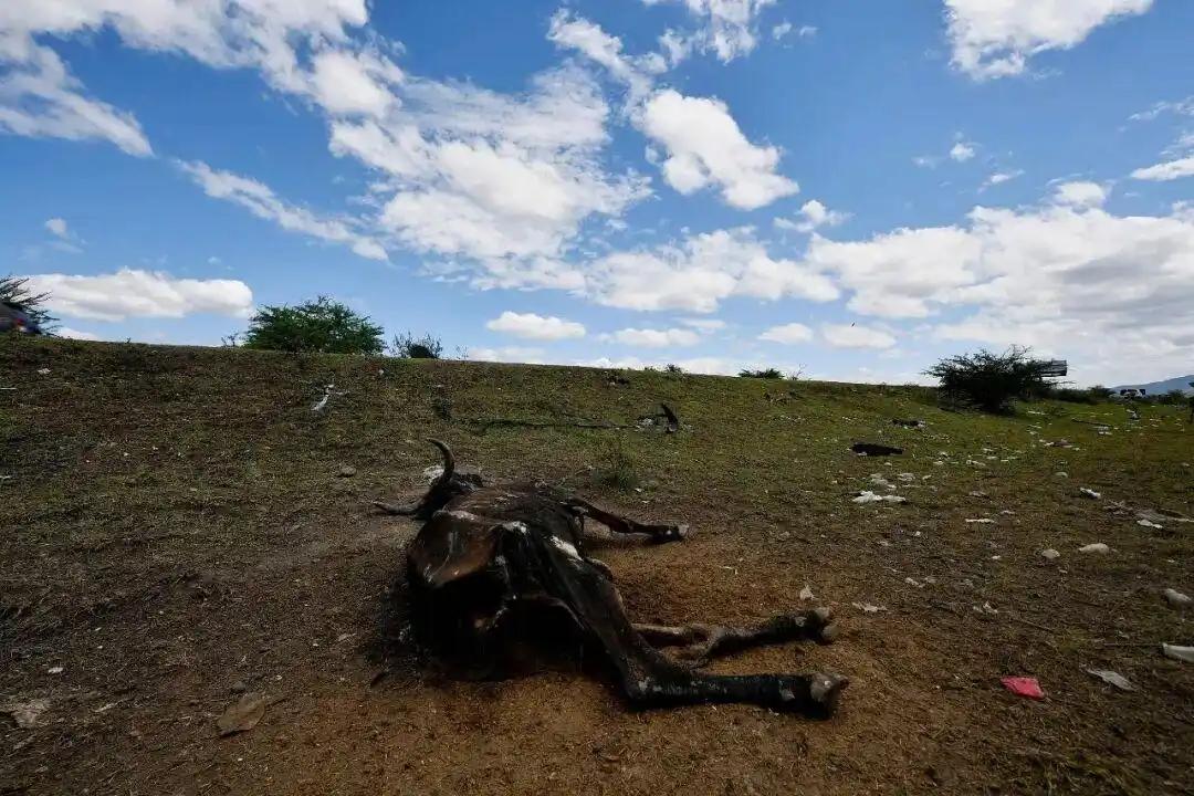 近50万人可能被活活热死！这不是末日大片，而是一场正在逼近的无声屠杀。更令人毛骨