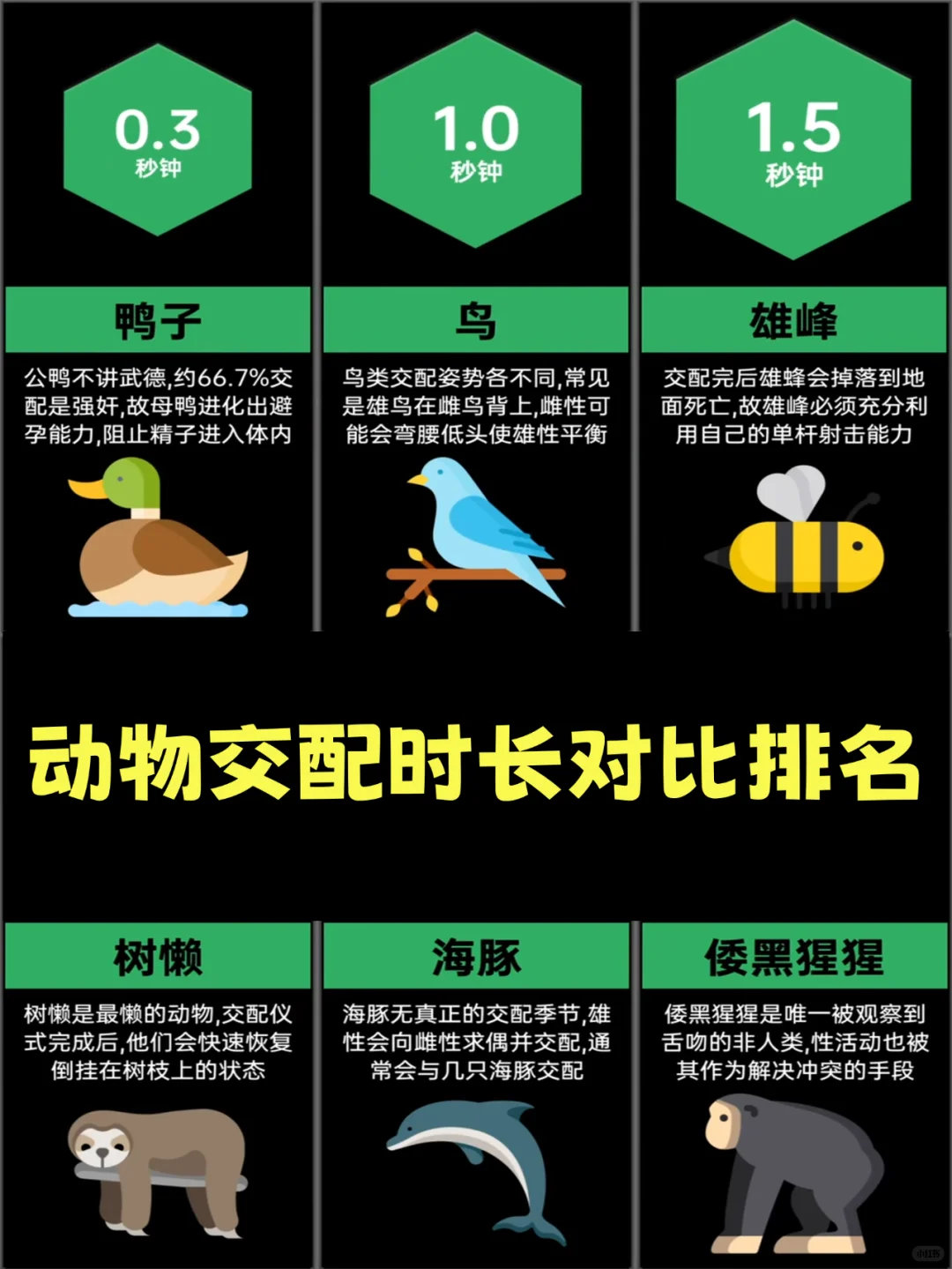 动物奇遇记动物奇趣  不足1秒的蚊子vs持续一辈子的琵琶鱼？动物交配时长大比拼，