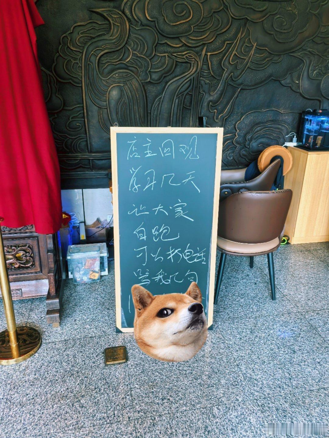 好久没去道长开的咖啡店了，今天办完事刚好顺路过来看看，还想和他聊聊有没有去看《八