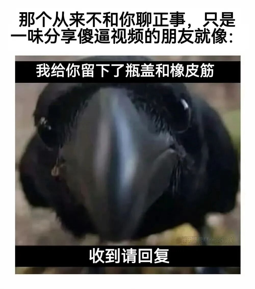 我一生致力于如此 ​​​