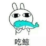丁逸爱聊