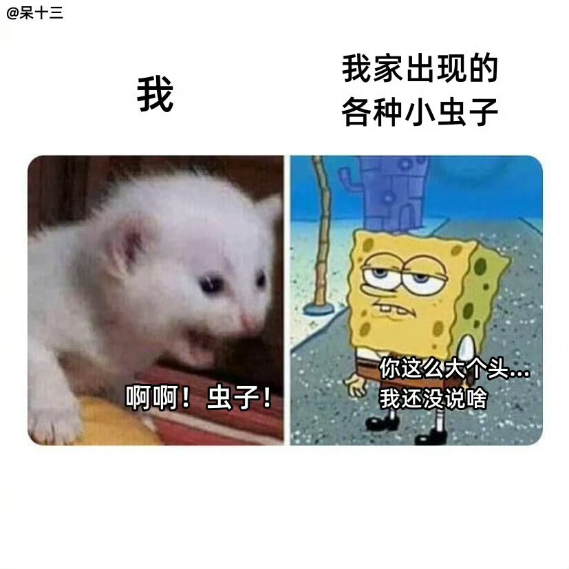 虽然我个头大，虽然我食物链顶端，但我还是怕！ ​ ​​​