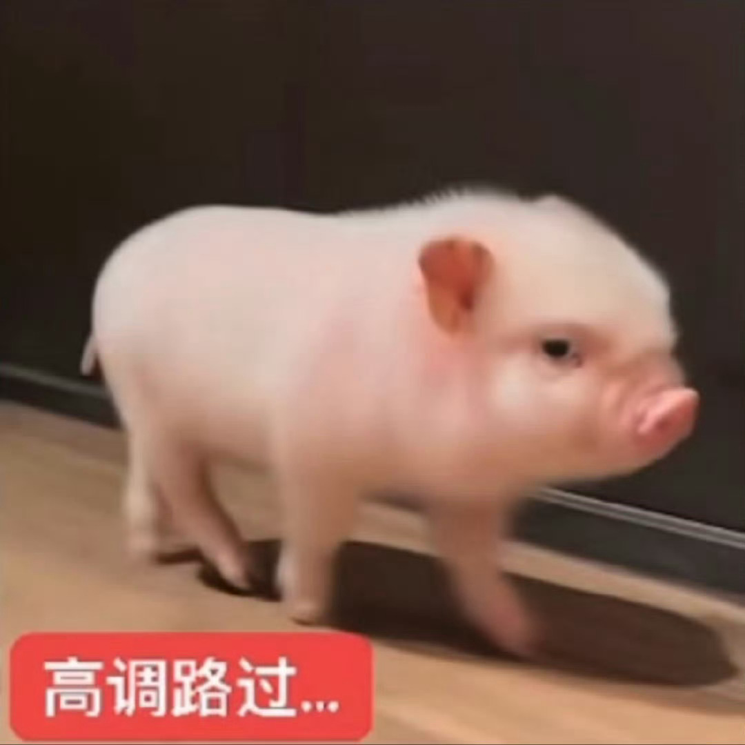 完全不知道该说什么了 这个圈子早就烂完了 收留伤心饲料跟我一起去追竞畜吧 