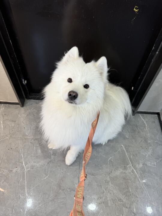 几岁能让老母亲省心哇😂