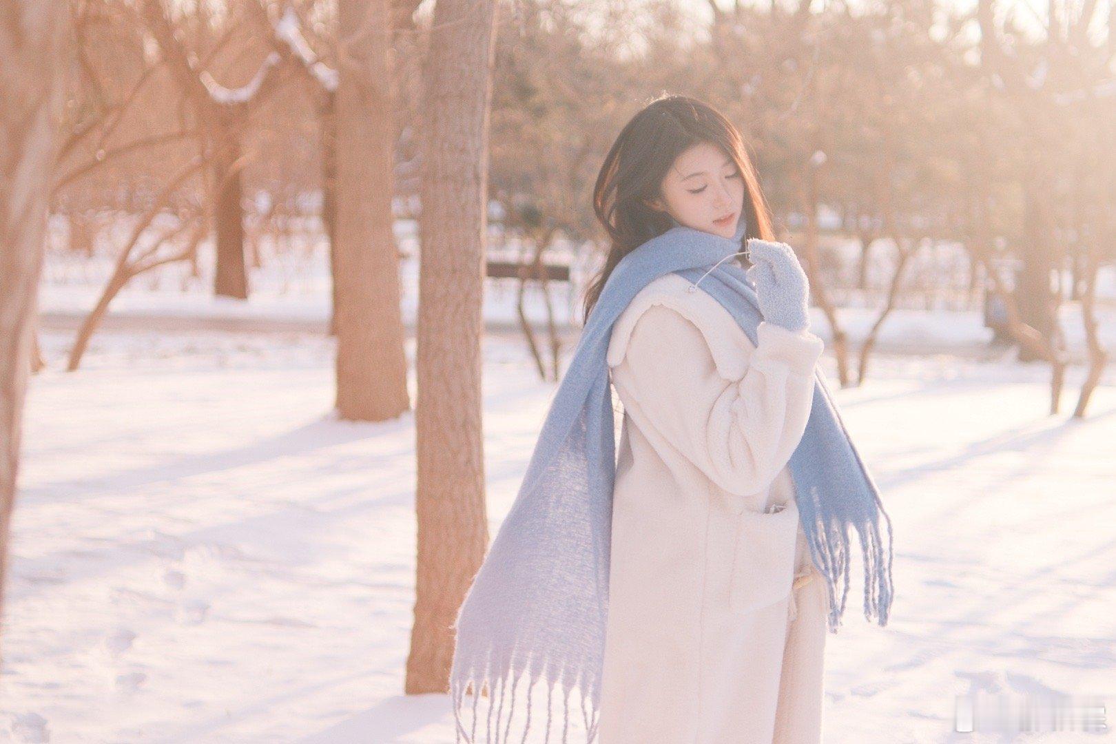 柔和的 美好的 雪的季节 