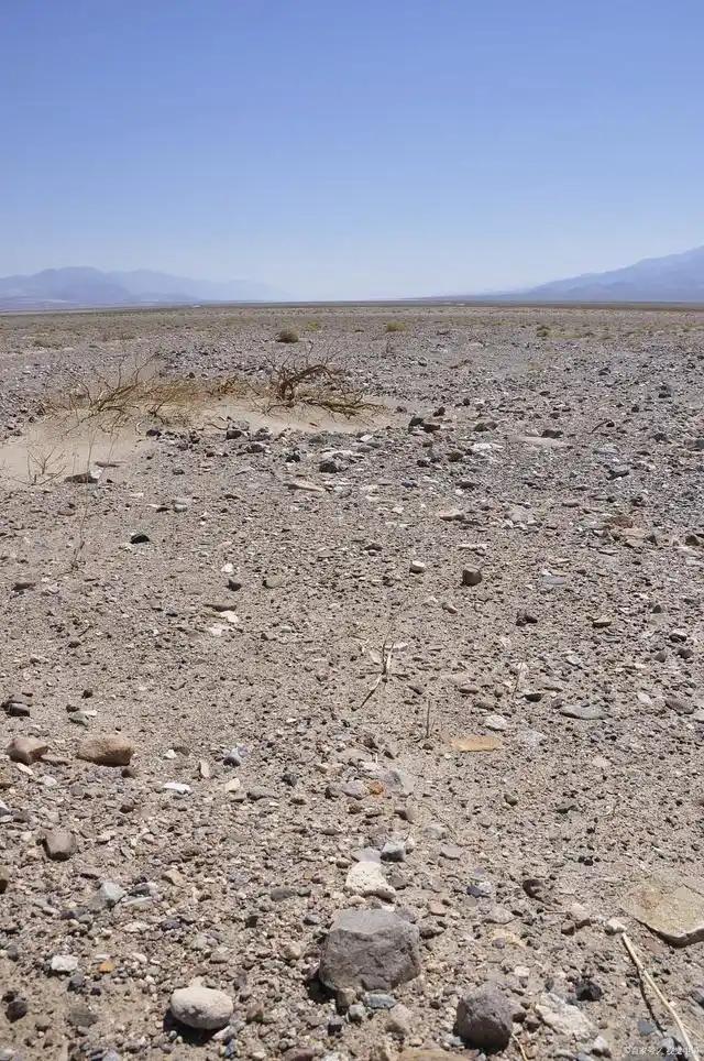 荒凉贫瘠的石砾滩，再勤奋也种不出喜悦的稼禾。你们说是不是？