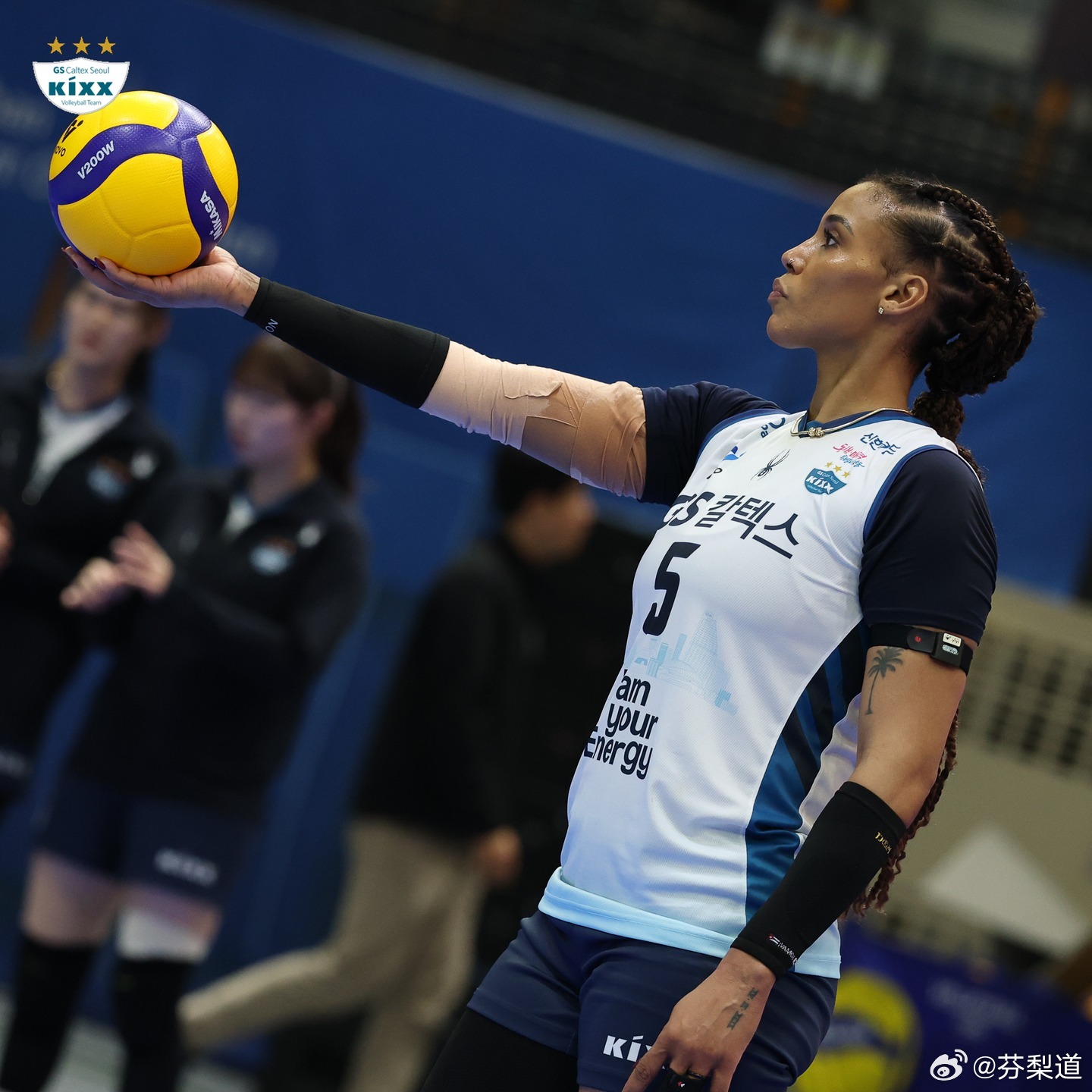 国际排坛动态韩国女排不会最终是GS加德士夺冠吧……