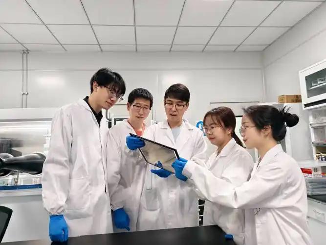 别再揪着光刻机不放！中国这5项技术领先全球，每一项都够硬气


总有人盯着光刻机