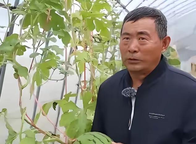 真正的高手，永远在民间！美日大批顶尖专家、博士团队，砸下数亿经费死磕十几年都跨不