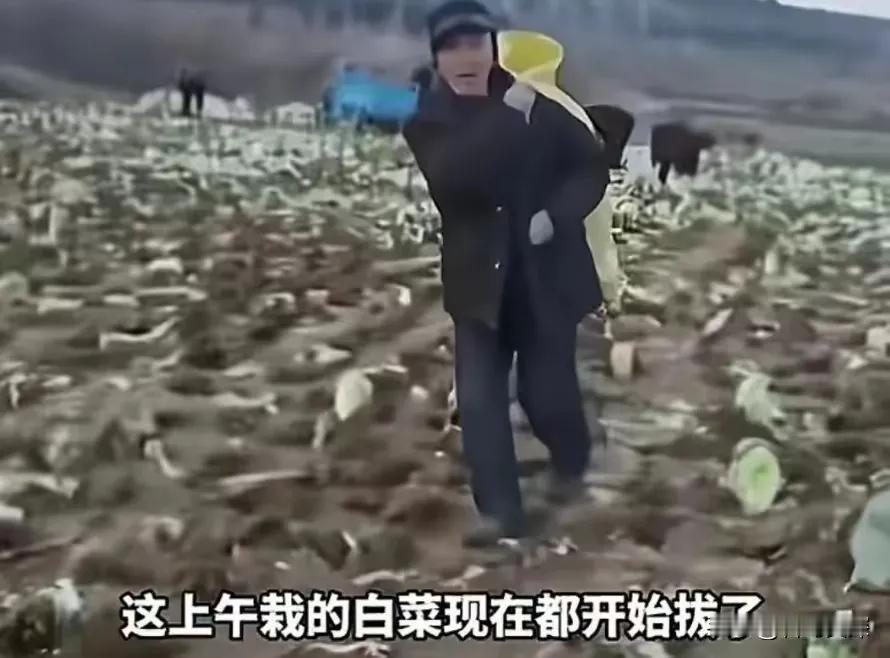 事情发生在2023年12月8日，网友曝料后，当地政府也没有正面回应，只称上面检查