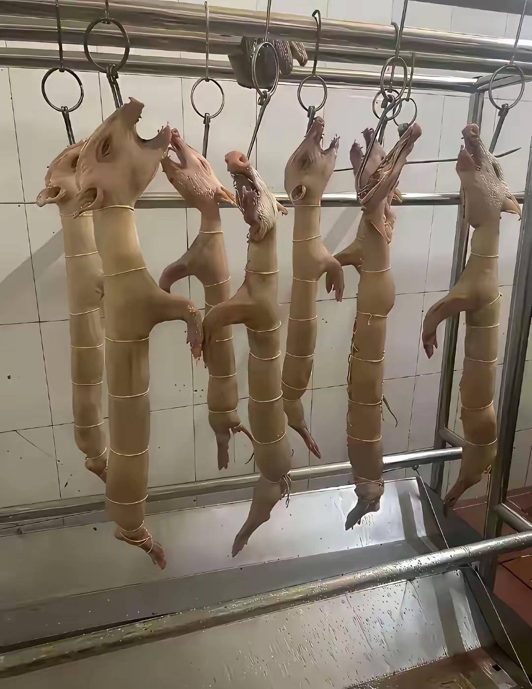 太吓人了，这是什么动物，应该是稀有野生动物吧，难道就不怕犯禁吗。