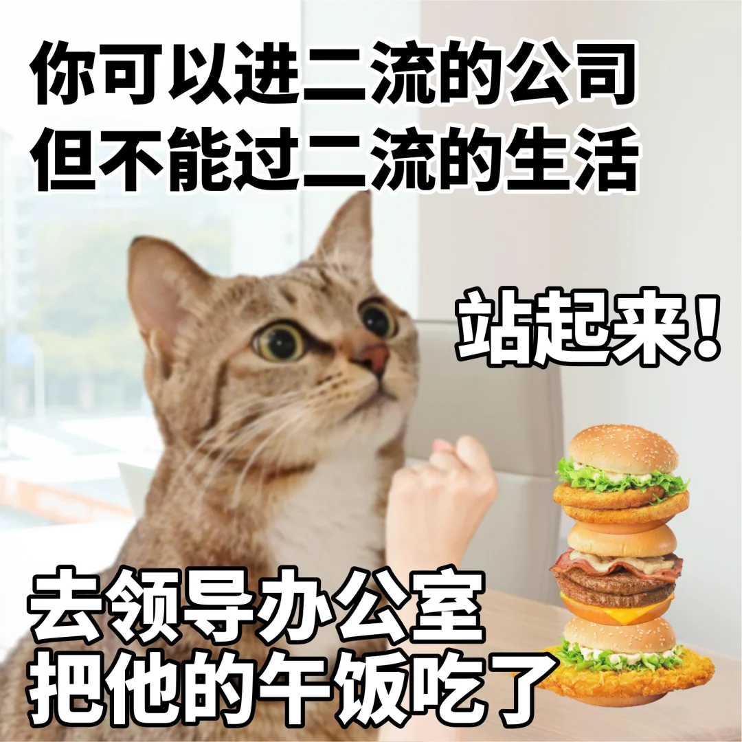 全体打工人，向麦看齐！