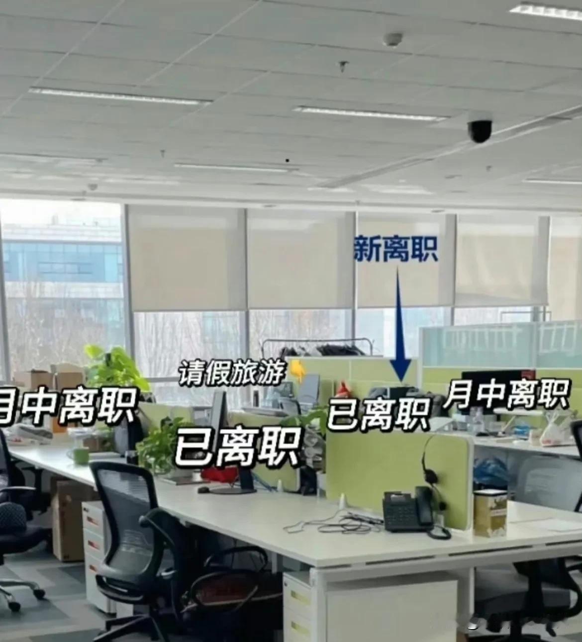 据说是2024年初职场现状…