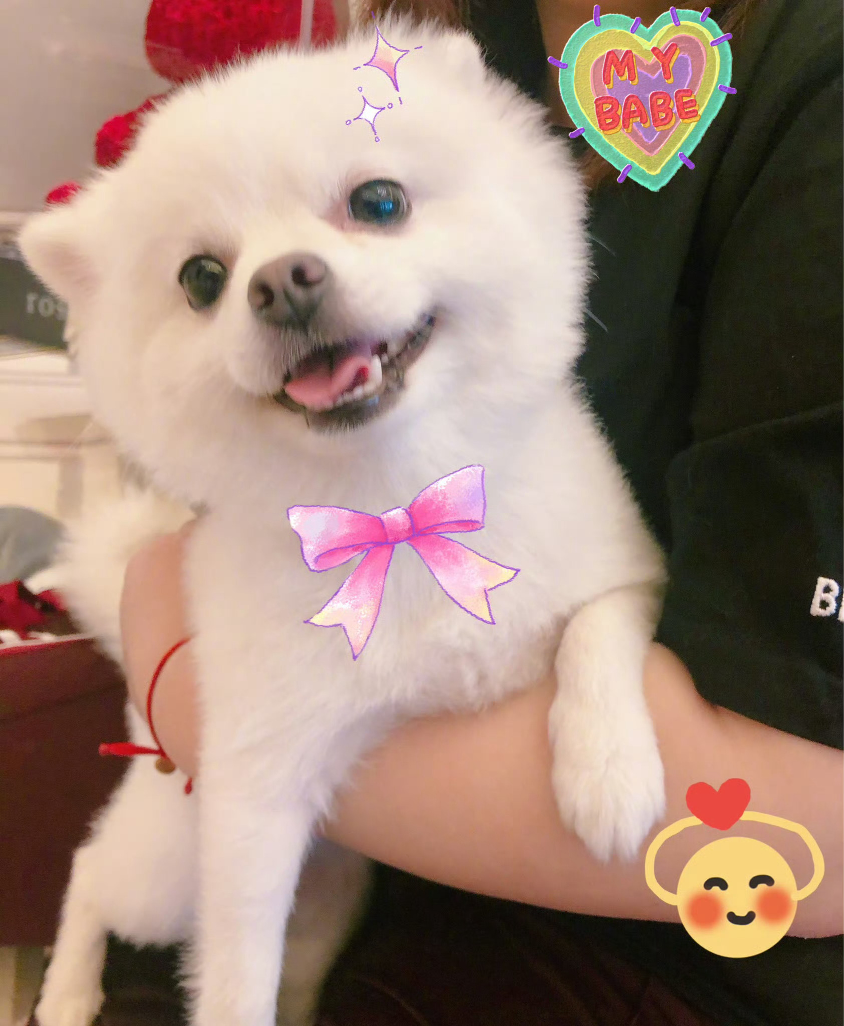 巧克力🍫长命百岁