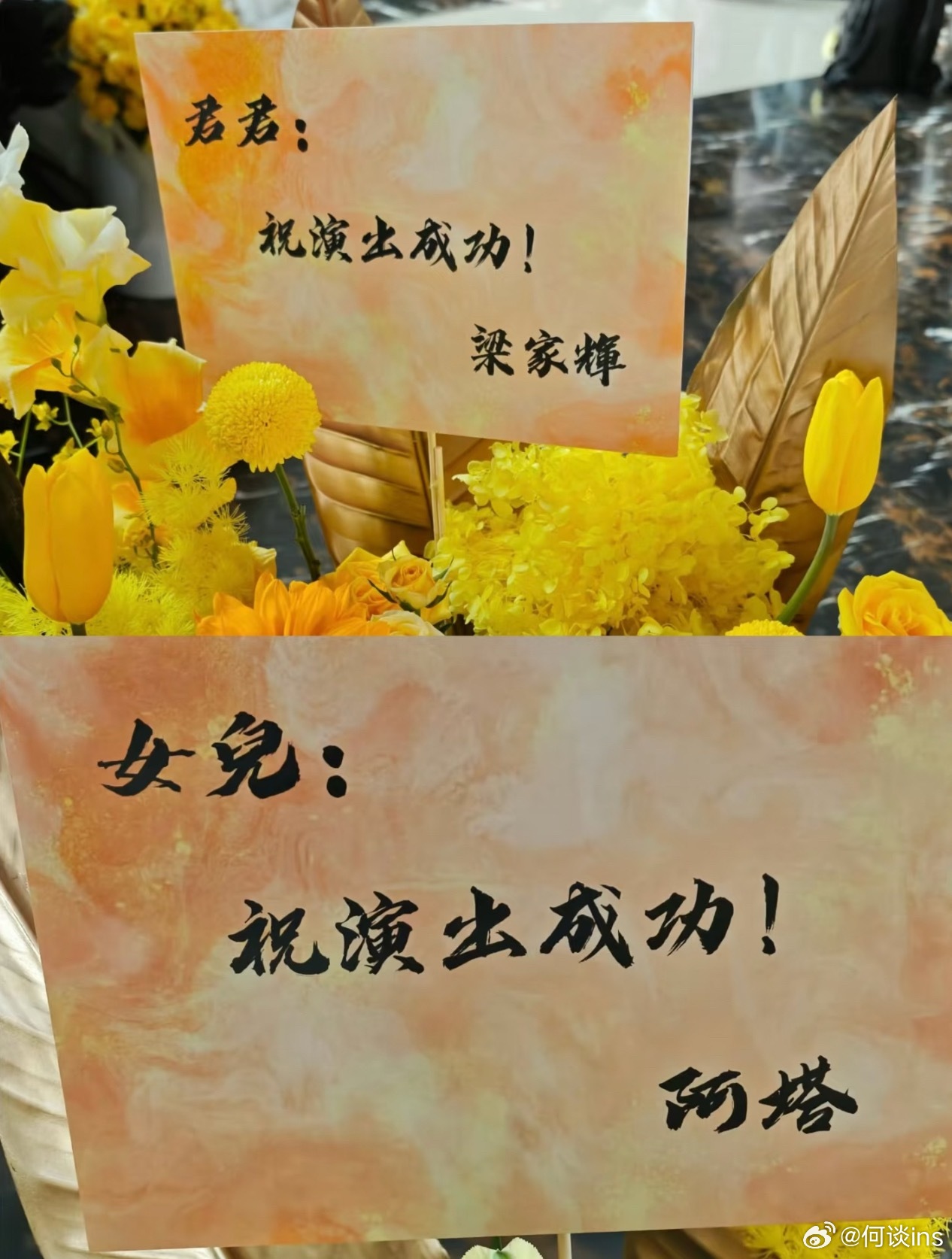 陈丽君话剧《枕头人》首演，梁家辉送花了，《镖人》父女又续上了 