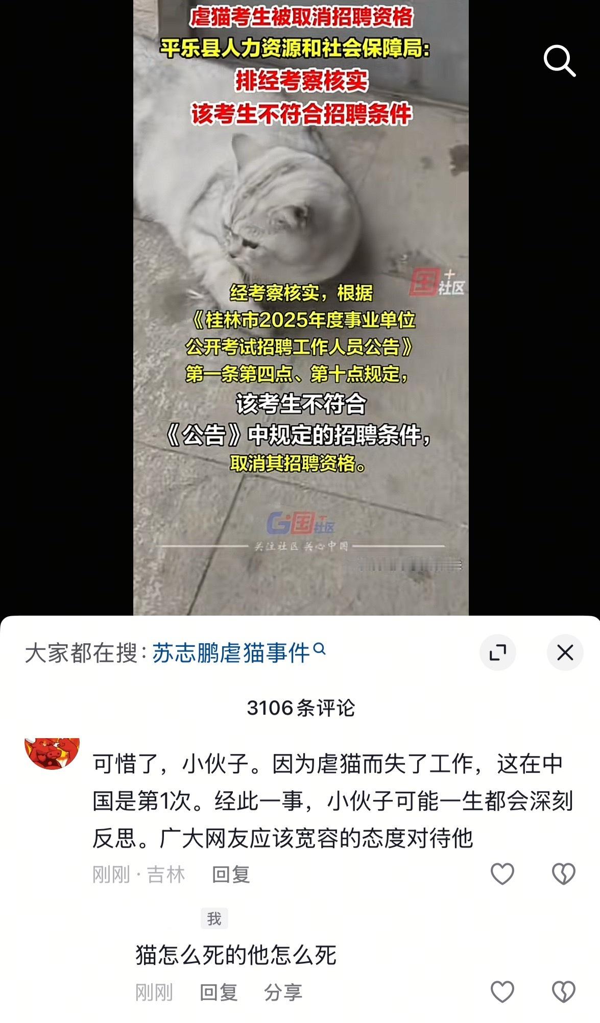 虐猫考生被取消招聘资格不好意思 宽容不了一点猫怎么没得 他怎么没[笑哈哈] ​​