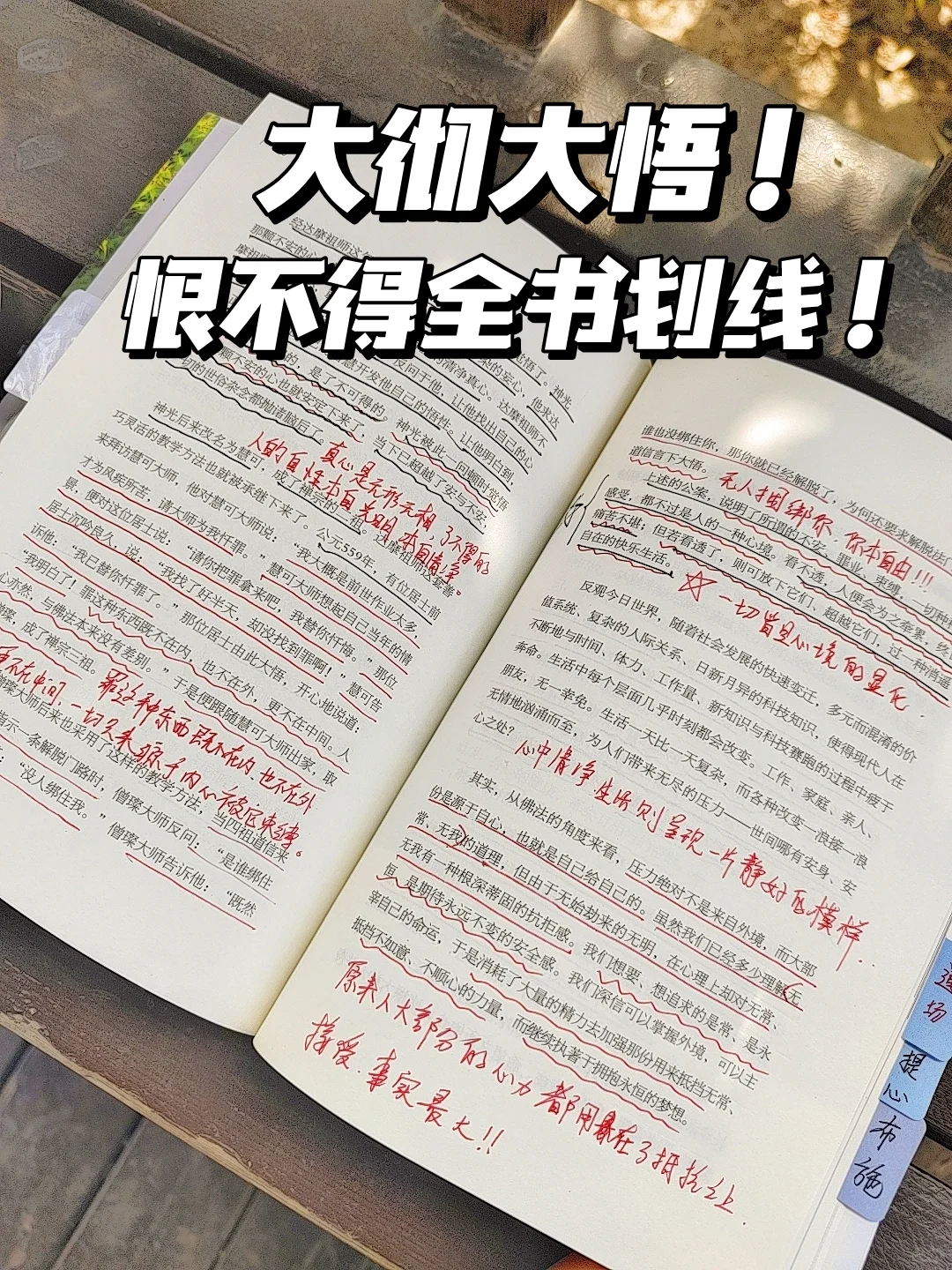 一本能让你原地觉醒的书❗