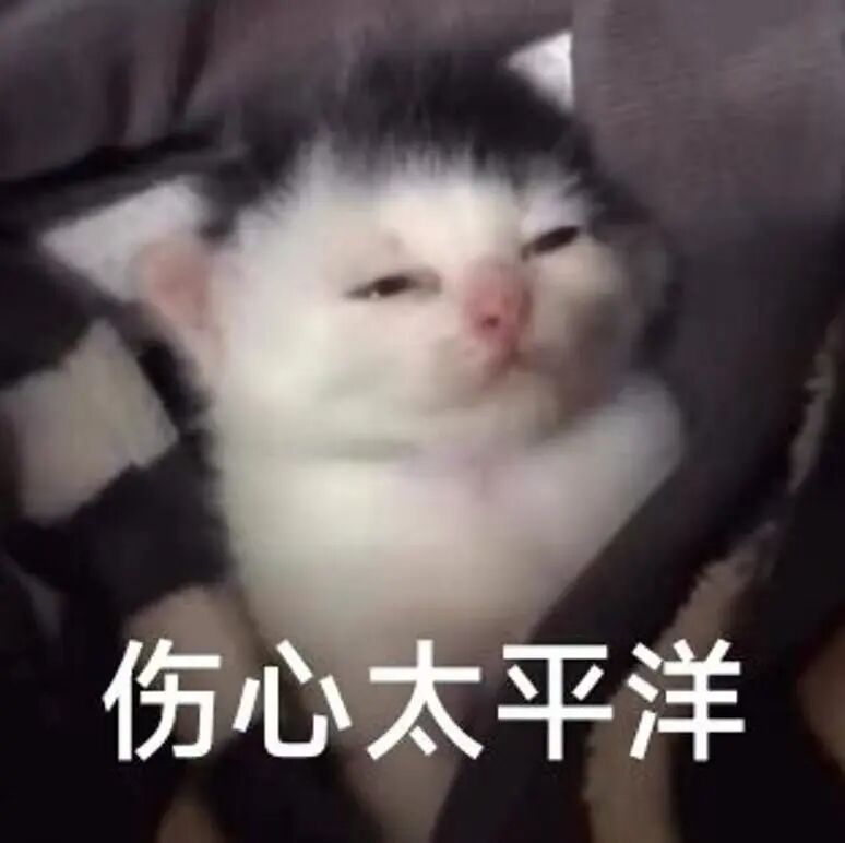 用一张照片告别你的5月 