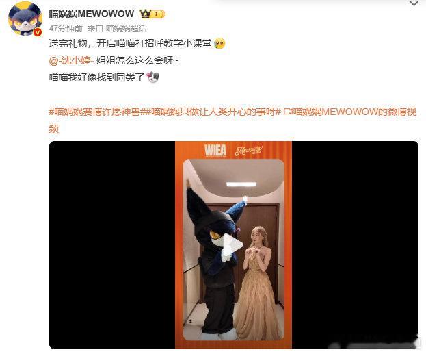 谁还分得清沈小婷和猫 打招呼的正确猫系模板，被沈小婷完美演绎，慵懒又可爱太迷人 