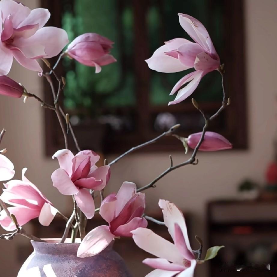 中医理论上说春吃芽，那么我就吃芽、做春茶。
柳芽，椿芽，花椒芽，自然是最爱。
我