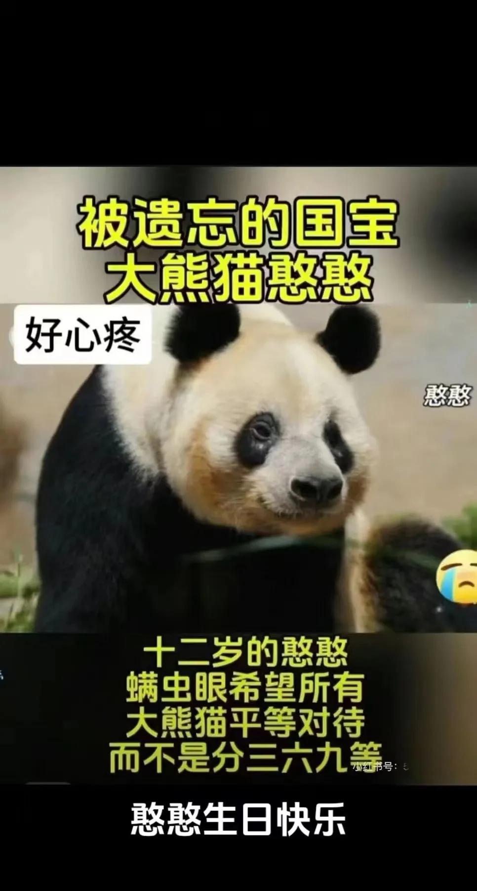 如果某些群体有这个时间，这个精力，请多为非展区的憨憨呼吁
和乐大爷一起在临动打过