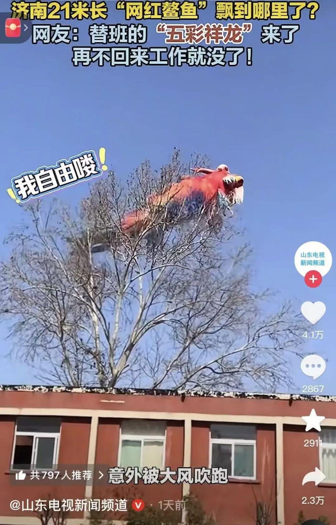 济南的春节，既有“灯火万家”的烟火之气，也有“金鳞化龙”的意外之趣。
大年初四，