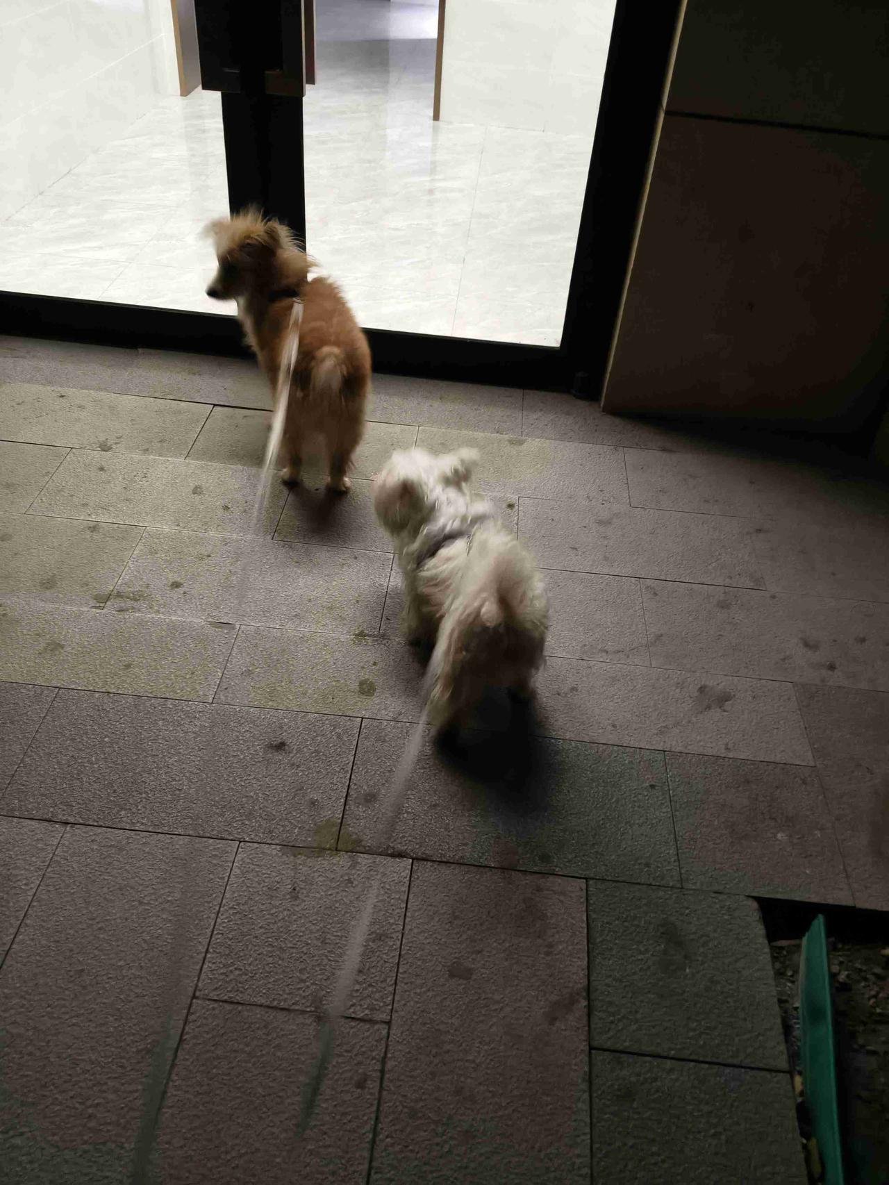 我的今日状态：😁轻松愉快
我这里的天气：☀️晴天