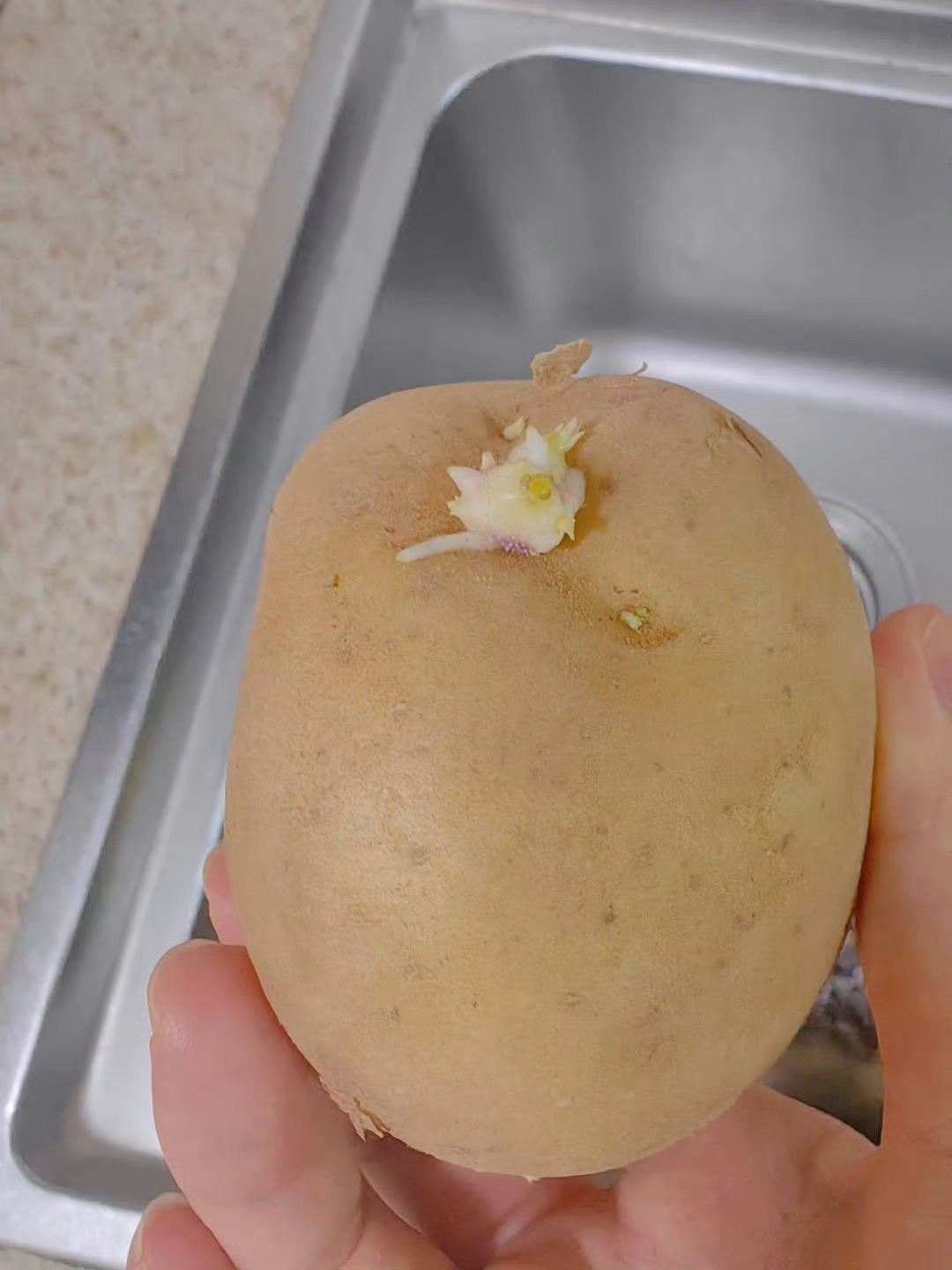 捞虾，土豆才是容易烂，网上闹闹算了，现实中自己也怕被土豆geigei瘟到吧