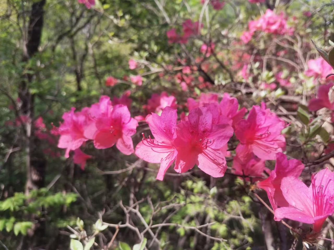 昨晚散步时，我碰到了楼下邻居马姐，我们聊起了她女儿的事情。

马姐满脸无奈，又带