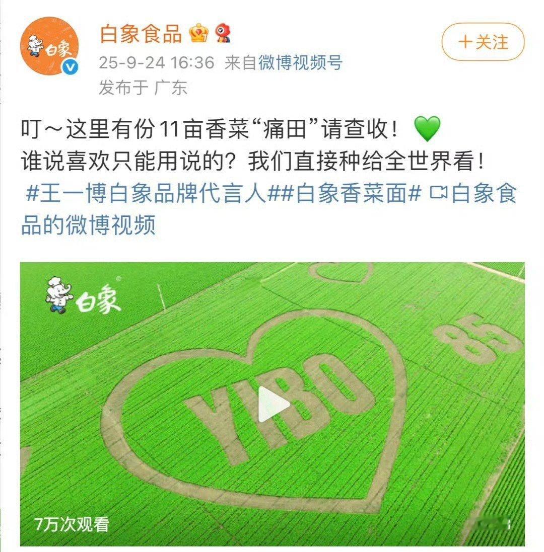 来看白象对王一博最浪漫的告白。种了一大片命名yibo的香菜园。天啦王一博[超话]