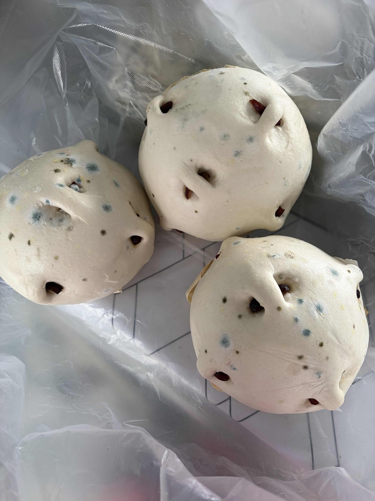 山东的朋友，发霉的馒头还能不能吃？我有个朋友，就因为这事差点离了婚。

    