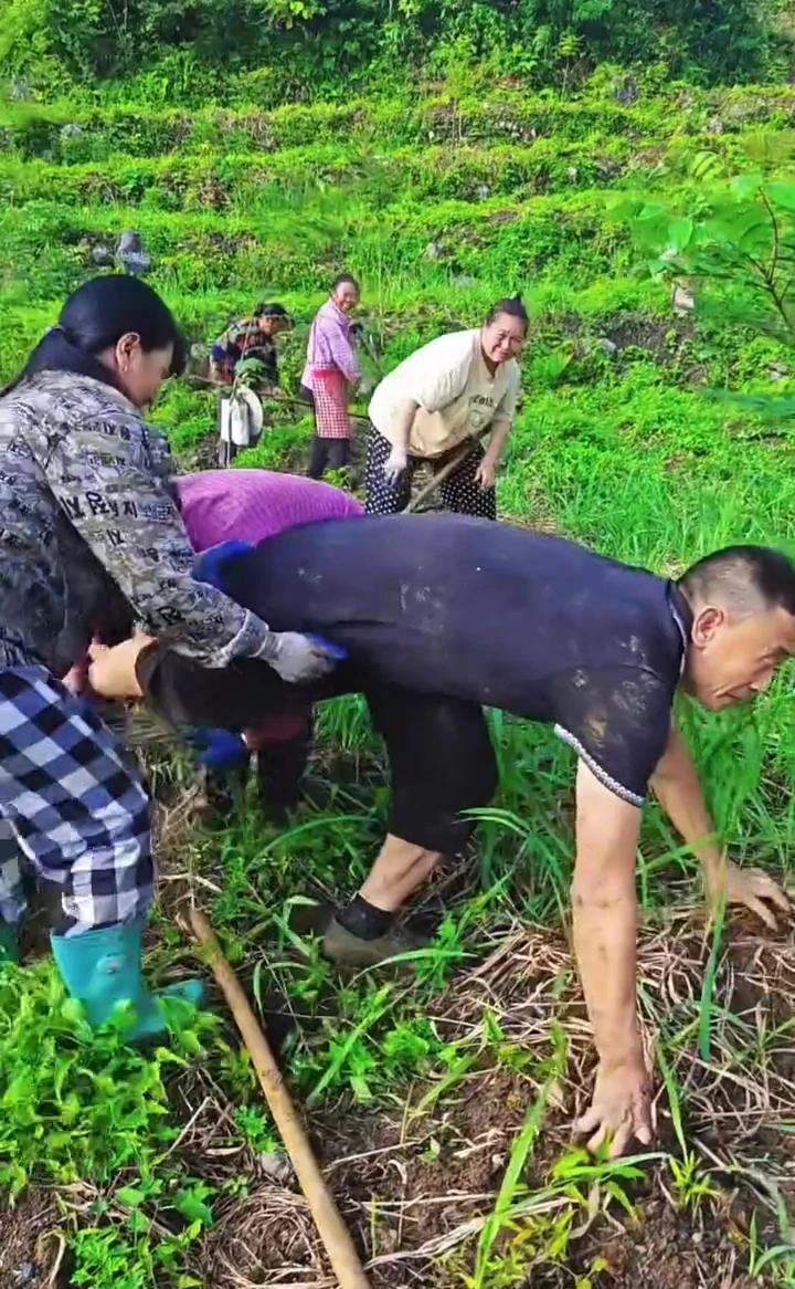 春江水哟。