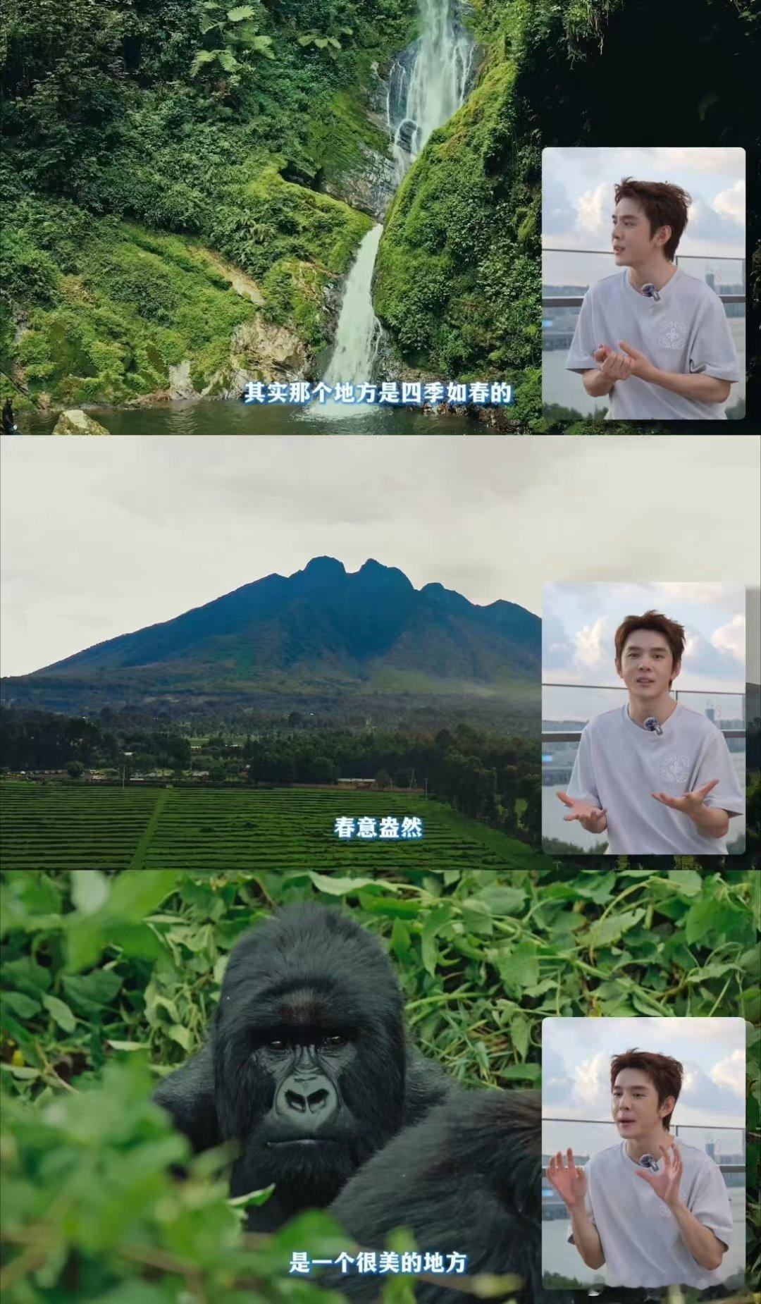 中国主播助力联合国南南合作联合国报道李佳琦公益 看到李佳琦与卢旺达大使的联合直播
